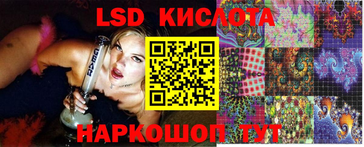 Губкин  Марки NBOMe 1500мкг  Вход с VPN  Марки NBOMe 1500мкг 