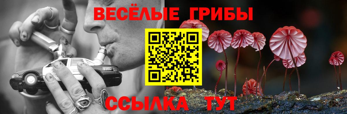 A-PVP СОЛЬ кристаллы  Губкин  Меф   Cocaine  Вход с VPN  Гашиш  Марихуана  Кетамин 